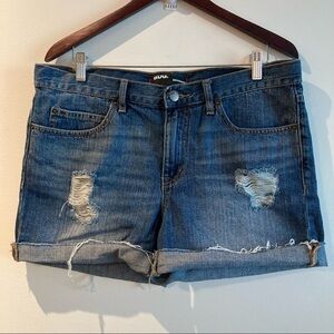 BDG Sz 32 Boyfriend Distressed High Rise Mid-Wash  Shorts